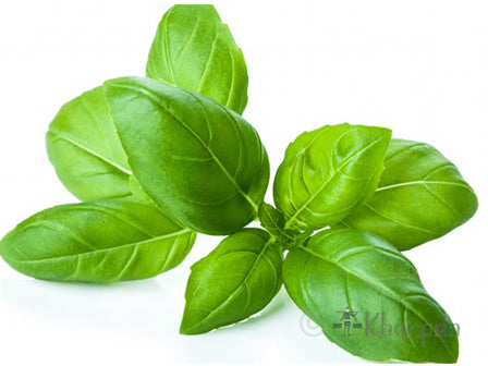 Basil-25g  /bunch