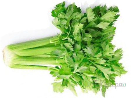 Celery(सेलेरी)-100g/bunch