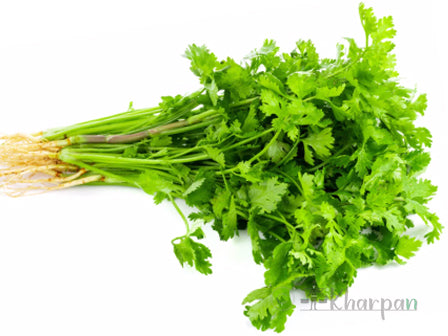 Coriander(धनिया) 100g  /bunch