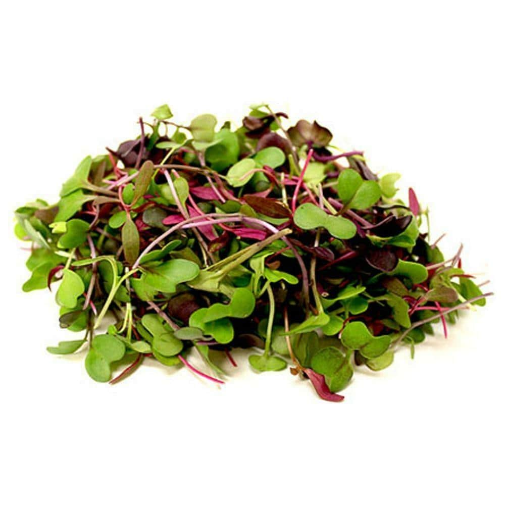 Microgreens-100gm