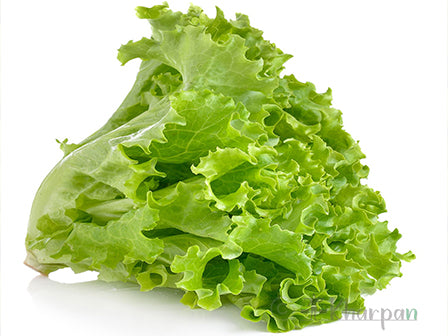 Lettuce (सलाद साग)-250gm /bunch