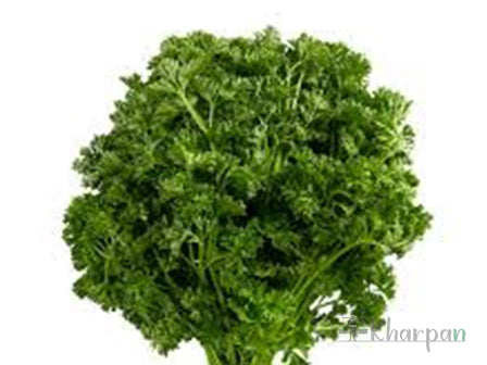 Parsley (पार्शले)-100g  /bunch