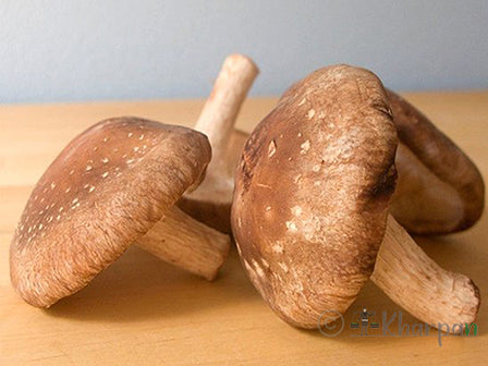 Dry Shiitake Mushroom(सिताके च्याउ)-100gm